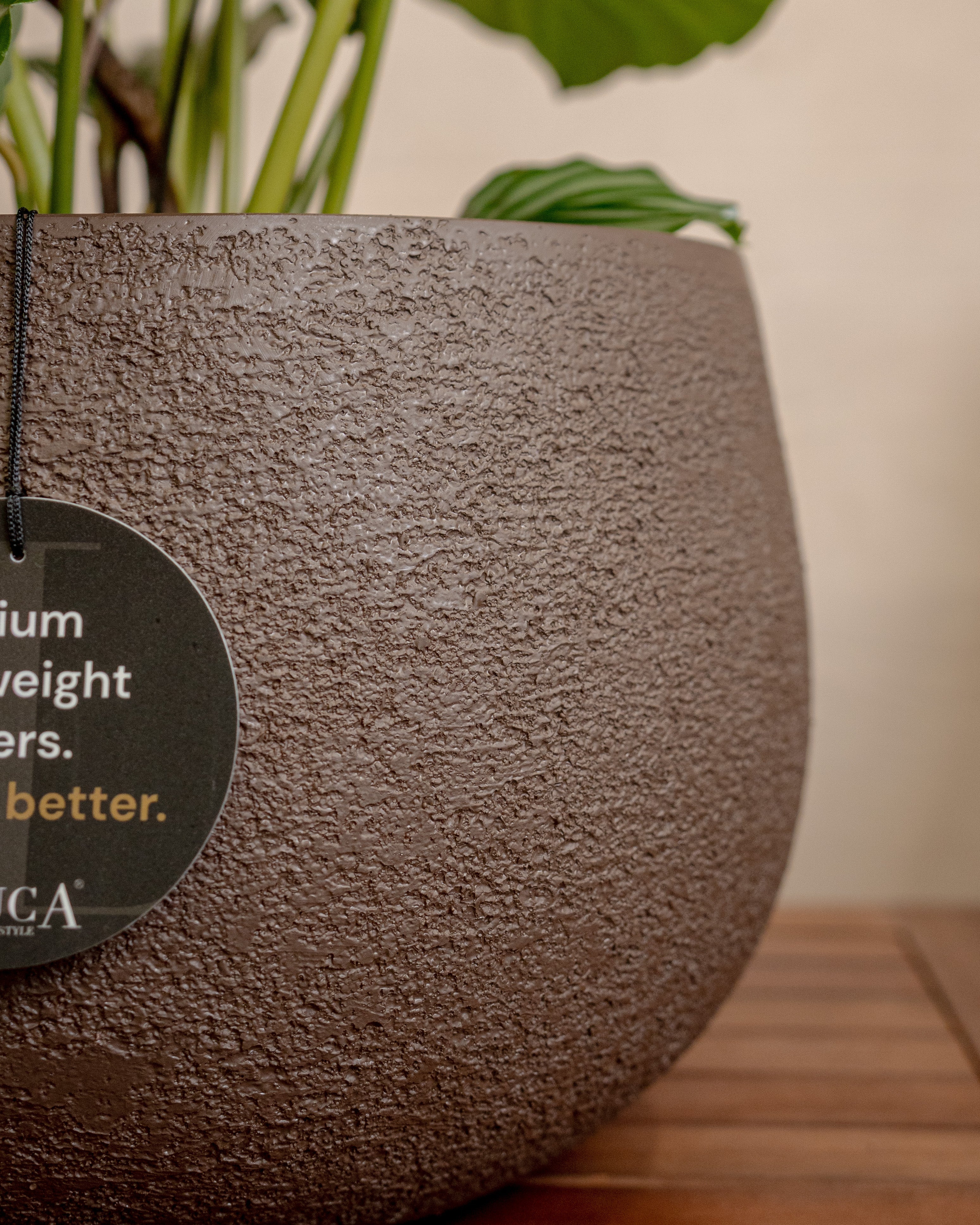 Struttura Balloon Bowl Low | Wide Profile, Dia. 30–55 cm - Acacia Garden Center