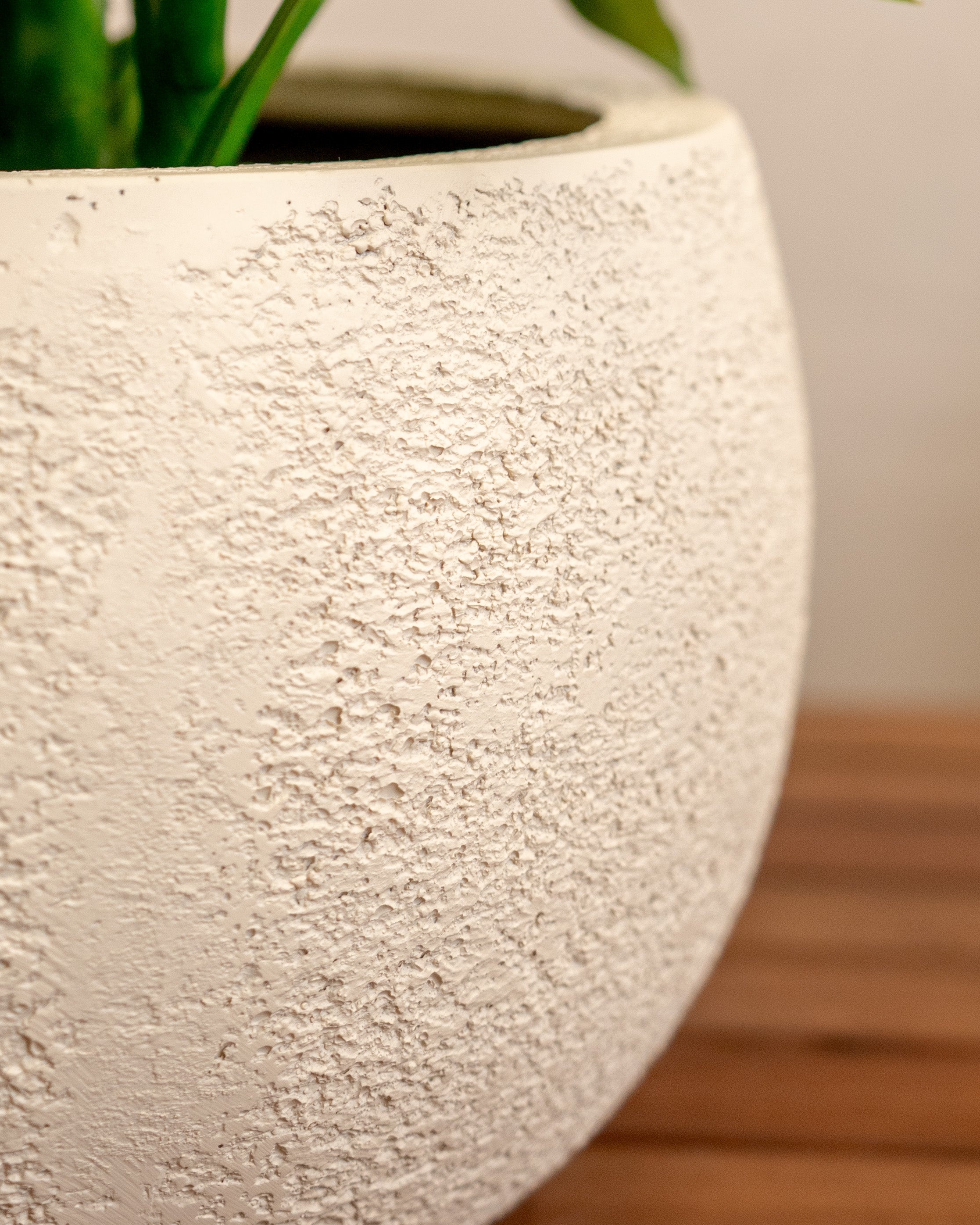 Struttura Balloon Bowl Low | Wide Profile, Dia. 30–55 cm - Acacia Garden Center
