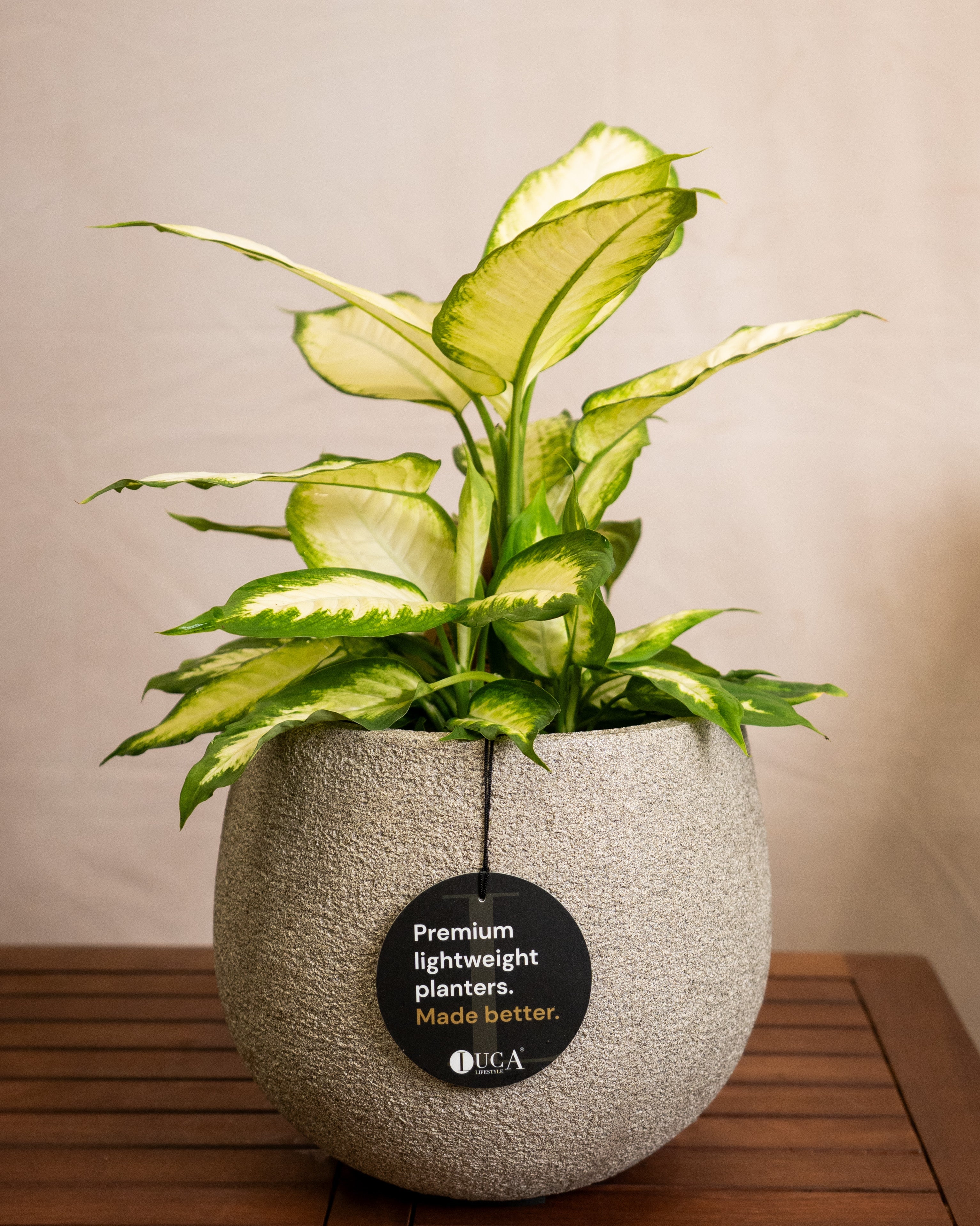 Struttura Balloon Bowl Planter | Rounded Pot, Dia. 30–55 cm - Acacia Garden Center