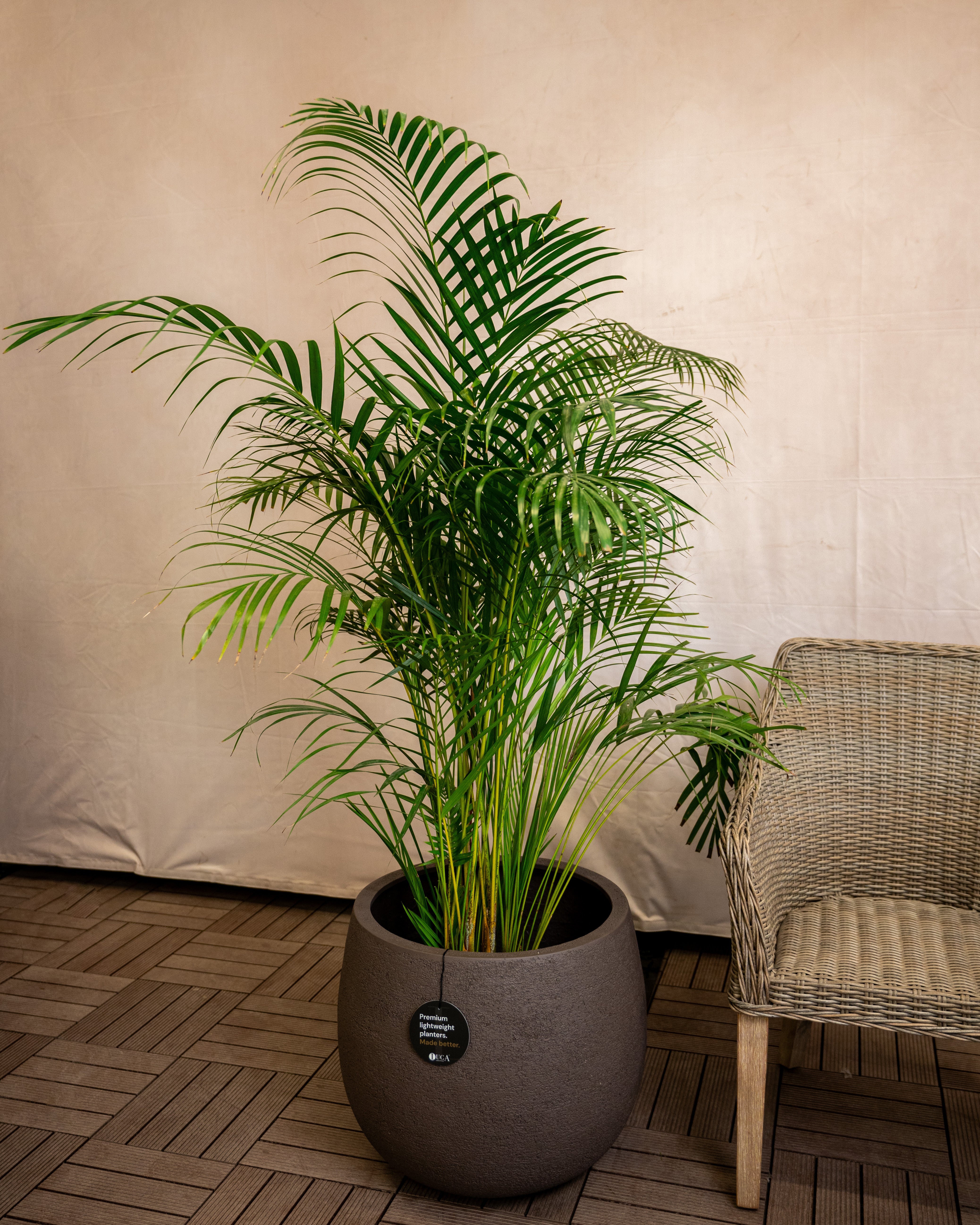 Struttura Balloon Bowl Planter | Rounded Pot, Dia. 30–55 cm - Acacia Garden Center