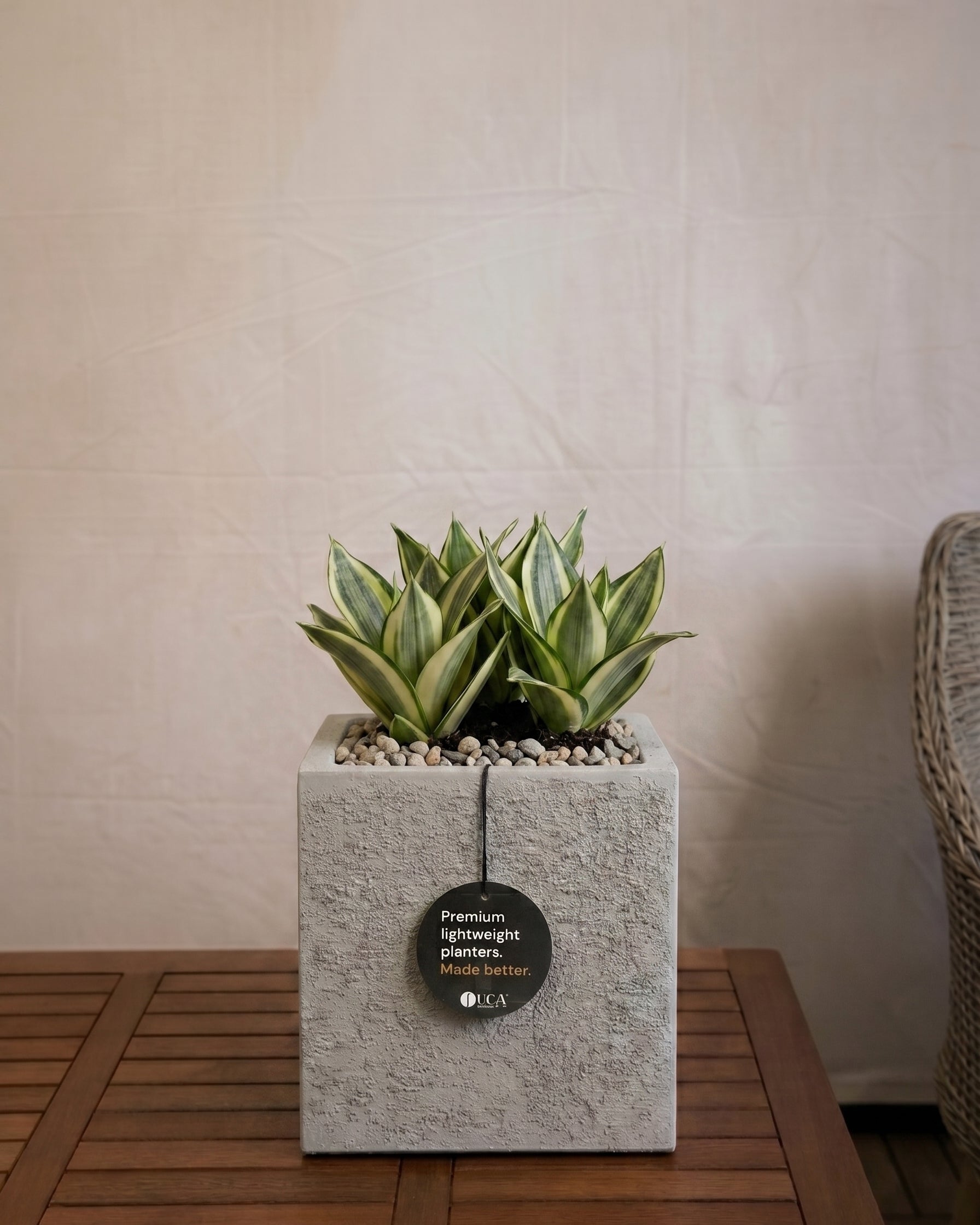 Struttura Cube | Square Planter, Dia. 20–60 cm - Acacia Garden Center