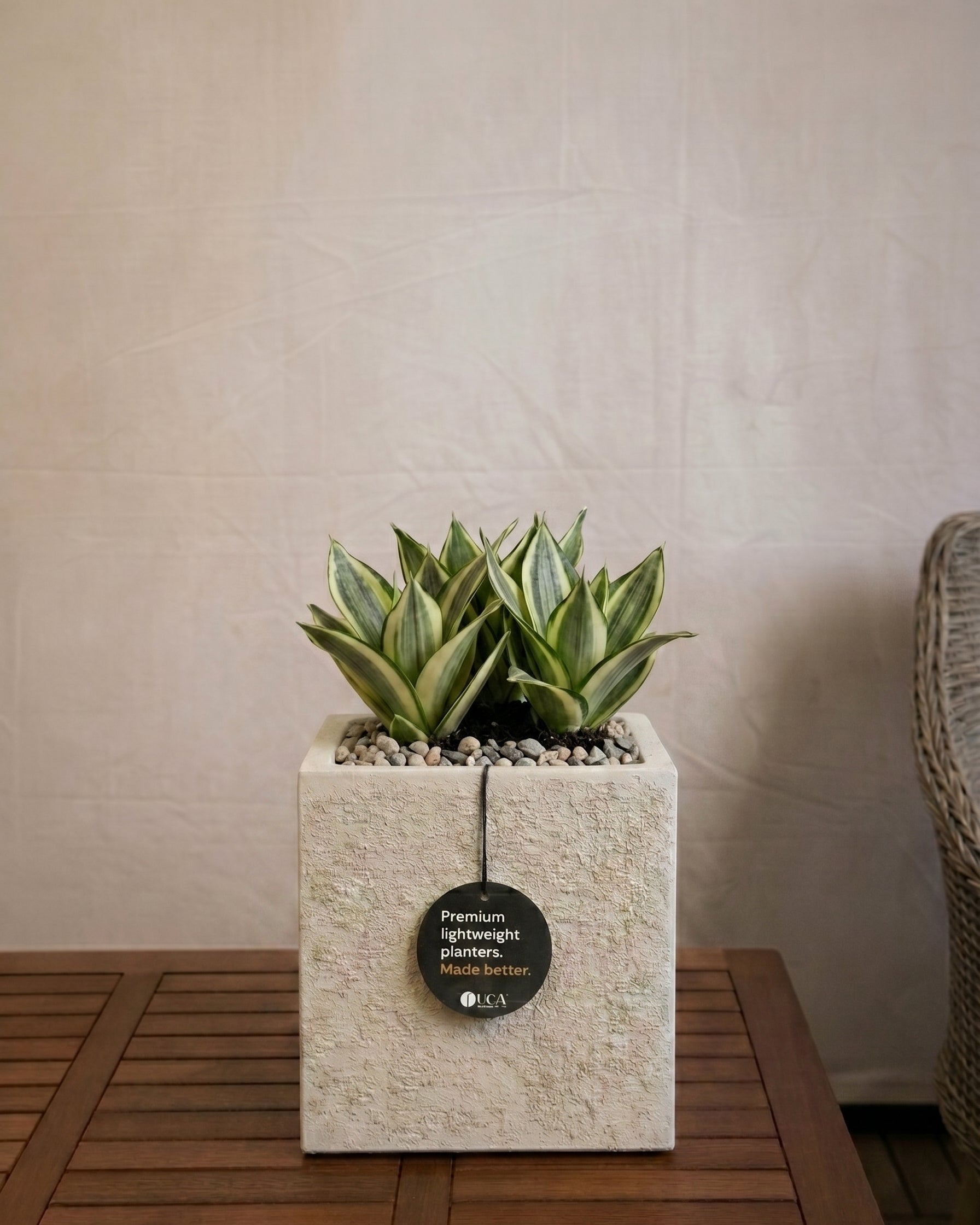 Struttura Cube | Square Planter, Dia. 20–60 cm - Acacia Garden Center