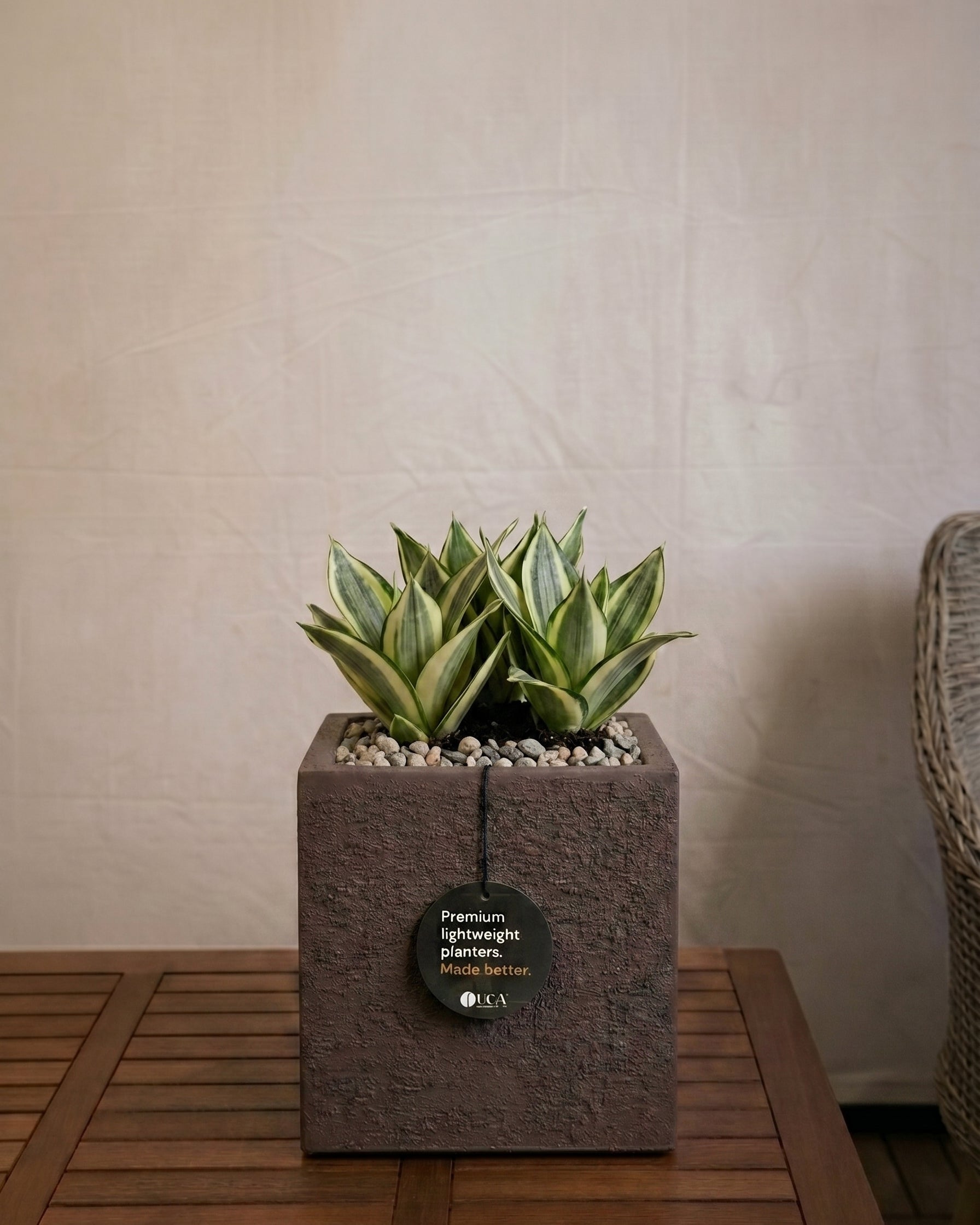Struttura Cube | Square Planter, Dia. 20–60 cm - Acacia Garden Center
