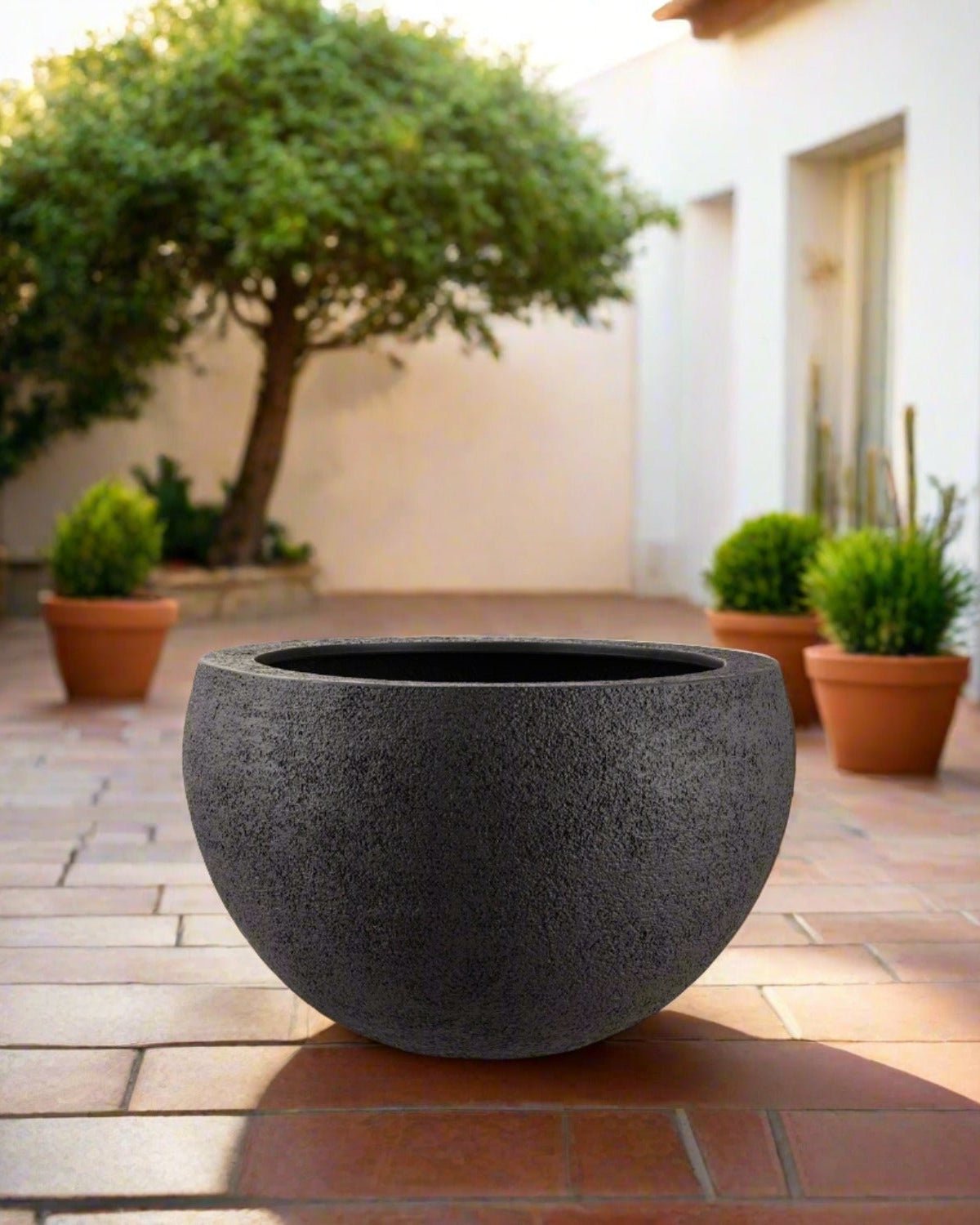 Struttura Elena Bowl | Sculptural Wide Bowl, Dia. 50–120 cm - Acacia Garden Center