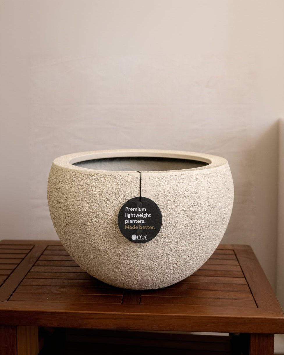 Struttura Elena Bowl | Sculptural Wide Bowl, Dia. 50–120 cm - Acacia Garden Center