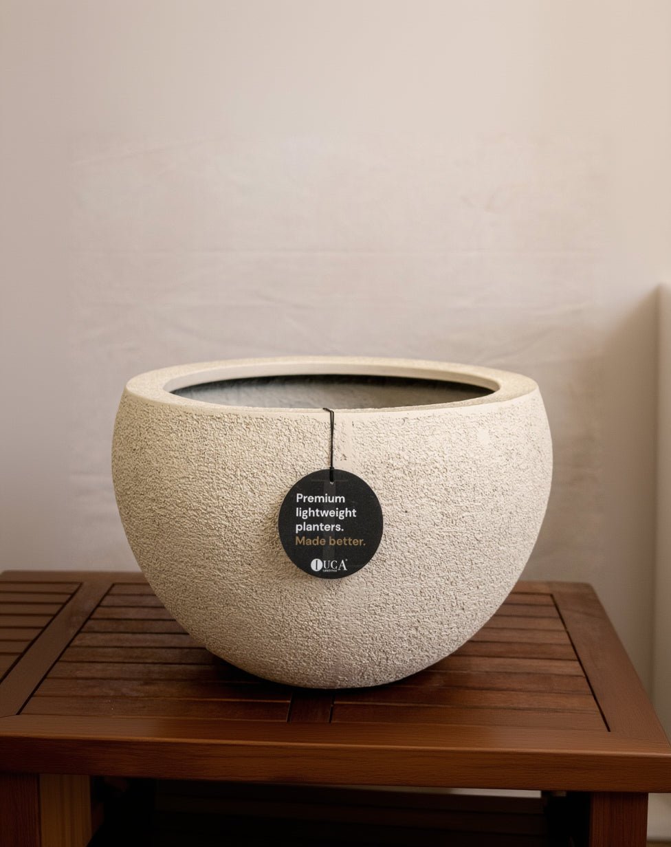 Struttura Elena Bowl | Sculptural Wide Bowl, Dia. 50–120 cm - Acacia Garden Center