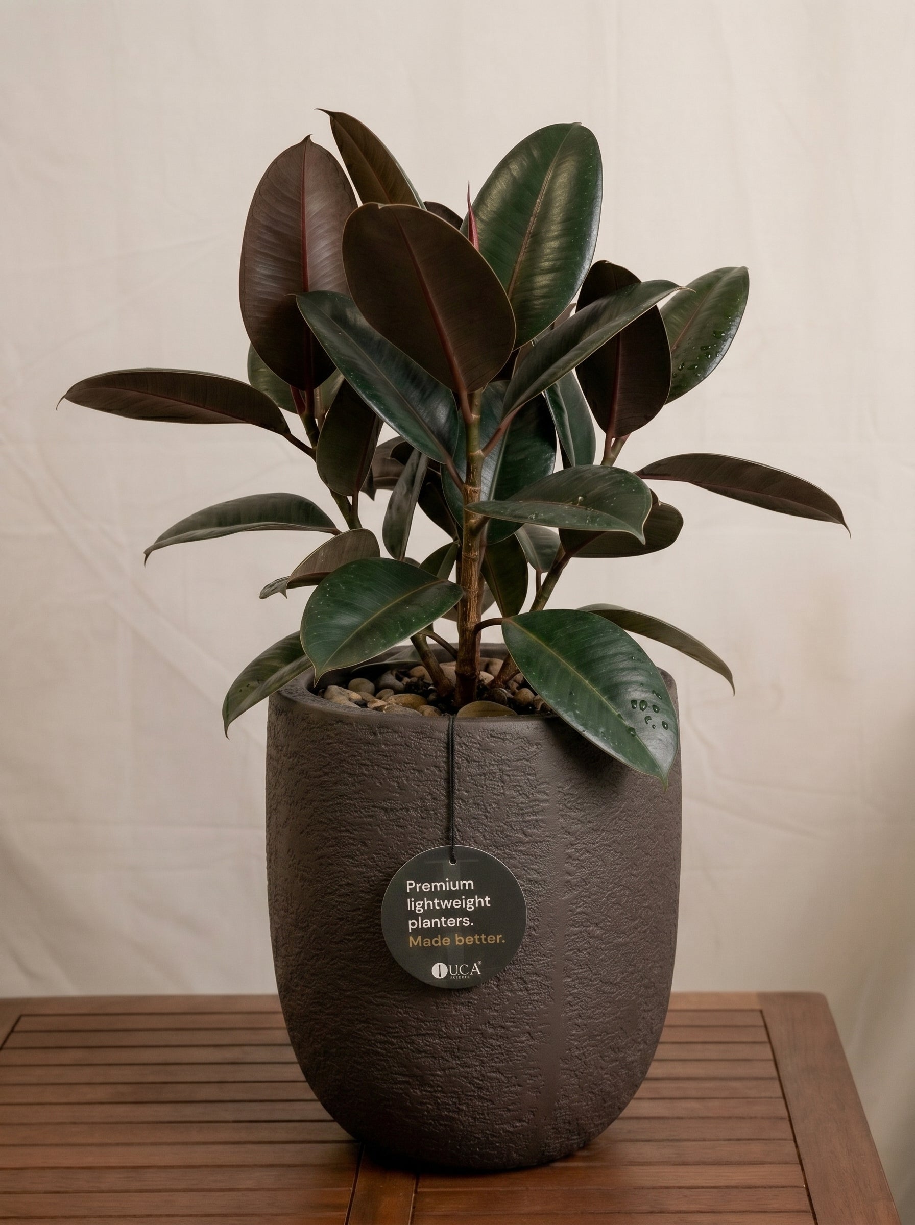 Struttura Tall Egg Pot | Elongated Egg Shape, 30–88 cm - Acacia Garden Center