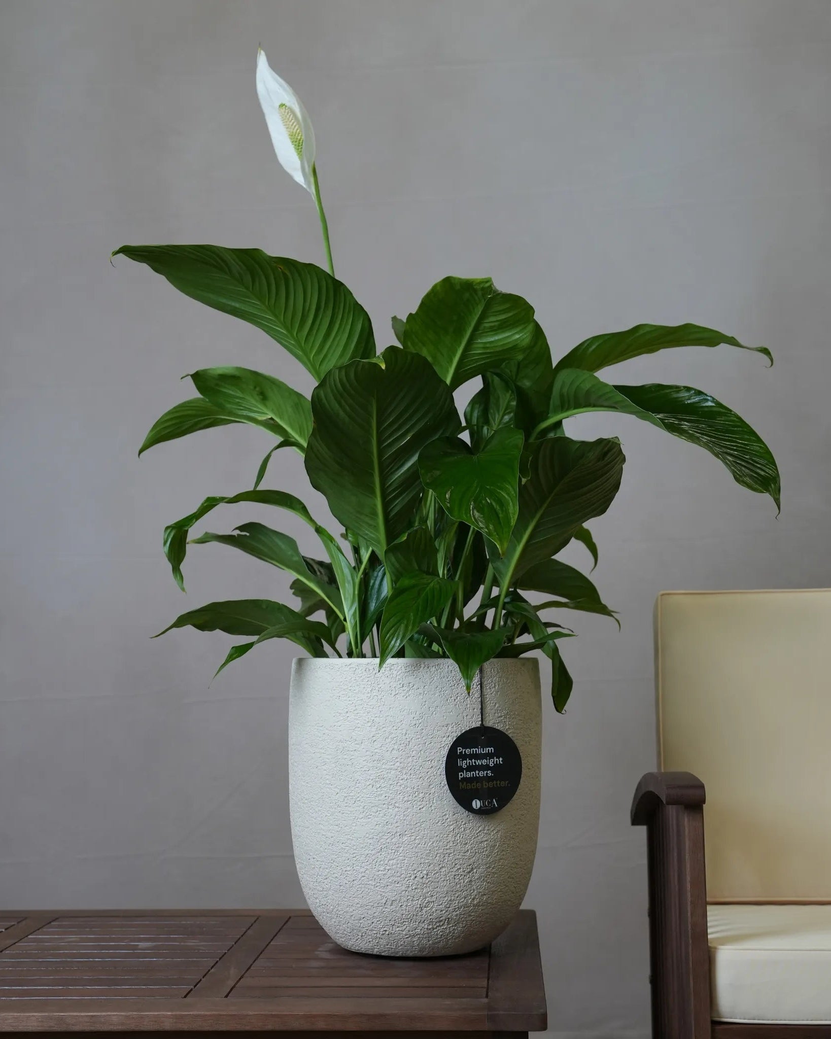 Struttura Tall Egg Pot | Elongated Egg Shape, 30–88 cm - Acacia Garden Center
