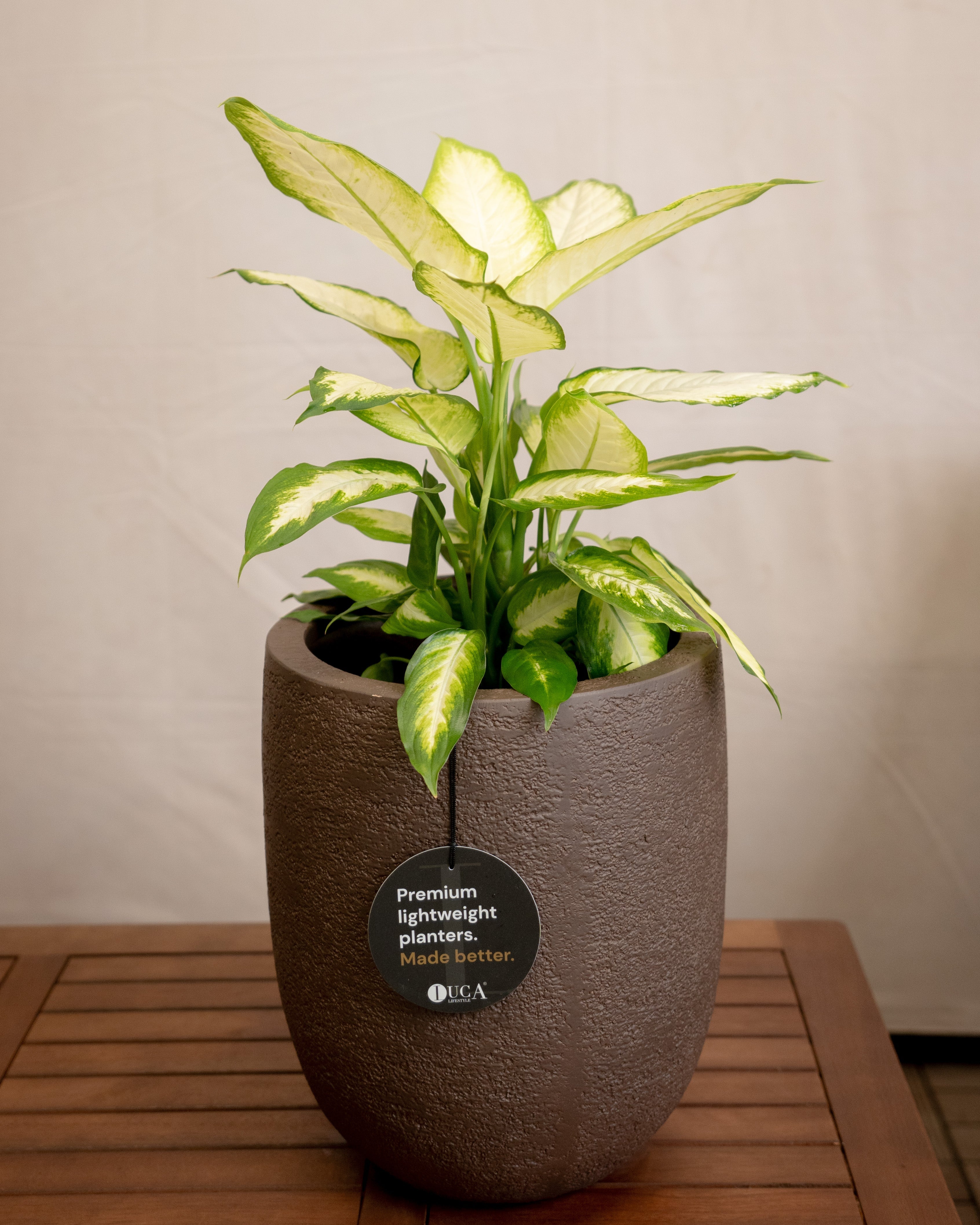 Struttura Tall Egg Pot | Elongated Egg Shape, 30–88 cm - Acacia Garden Center