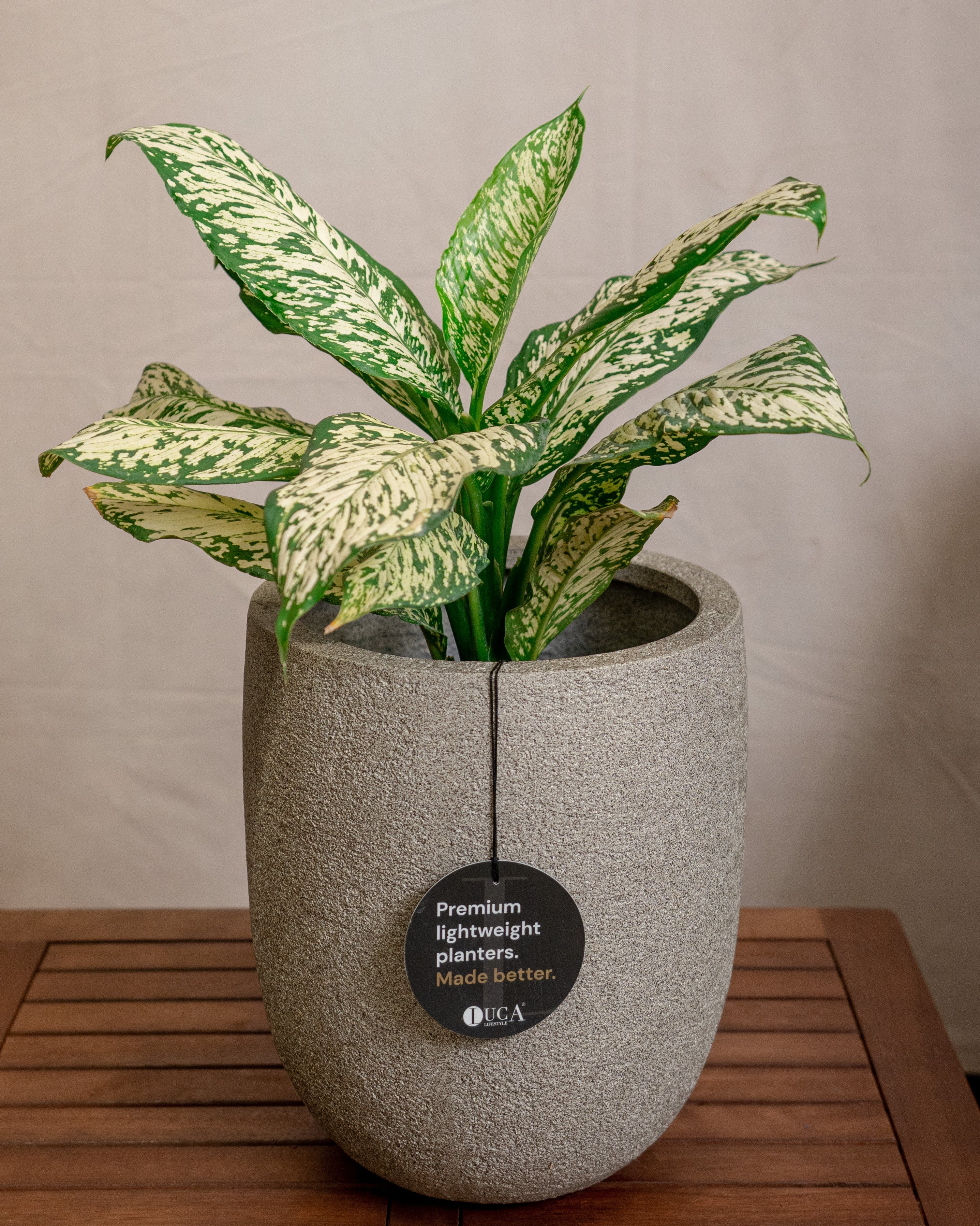 Struttura Tall Egg Pot | Elongated Egg Shape, 30–88 cm - Acacia Garden Center