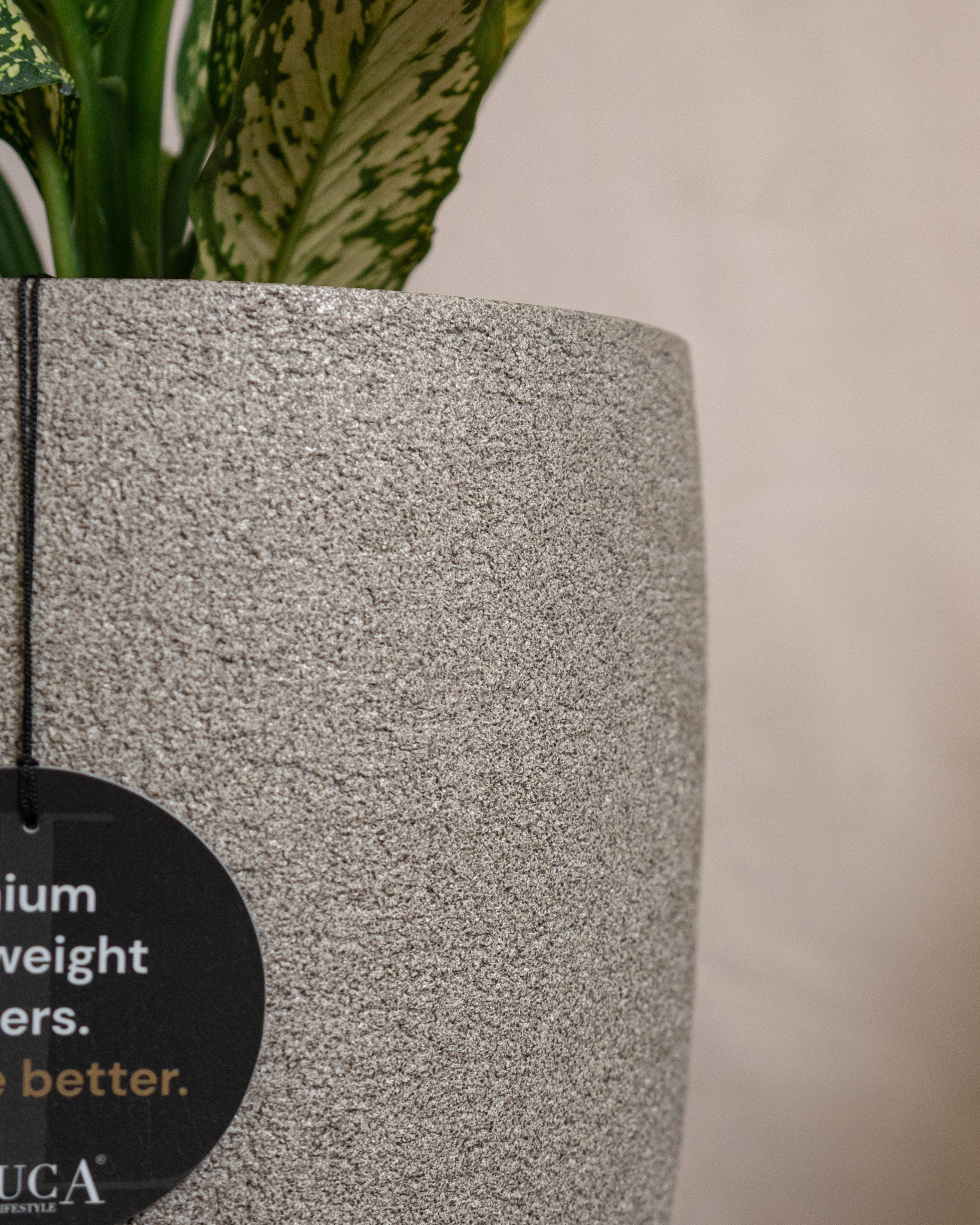 Struttura Tall Egg Pot | Elongated Egg Shape, 30–88 cm - Acacia Garden Center