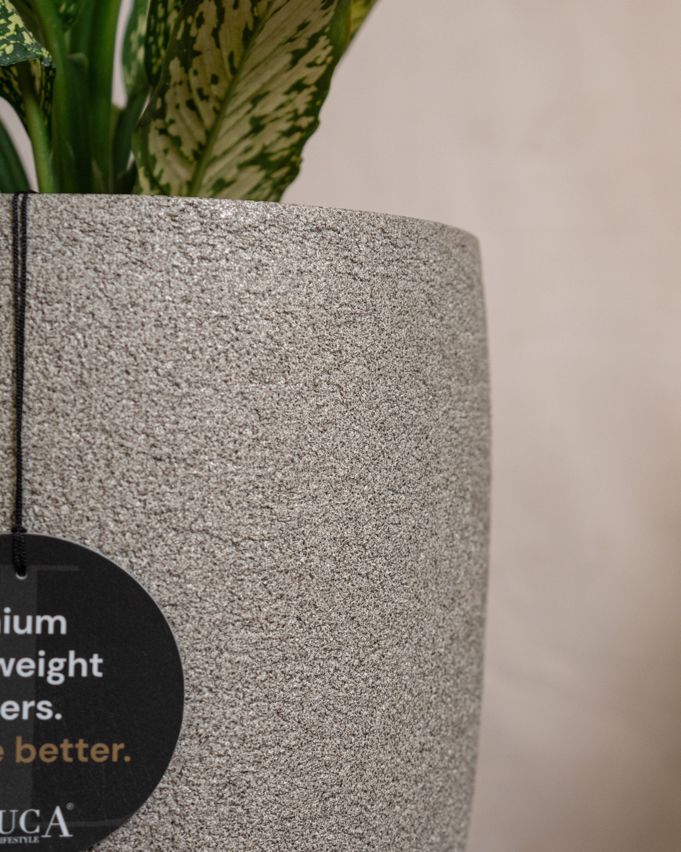 Struttura Tall Egg Pot | Elongated Egg Shape, 30–88 cm - Acacia Garden Center