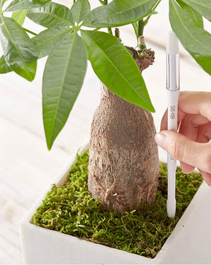 Sustee Aquameter (Per Piece) - Acacia Garden Center