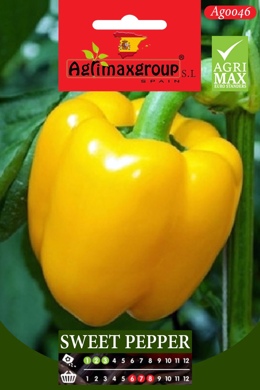 Sweet Pepper - Acacia Garden Center