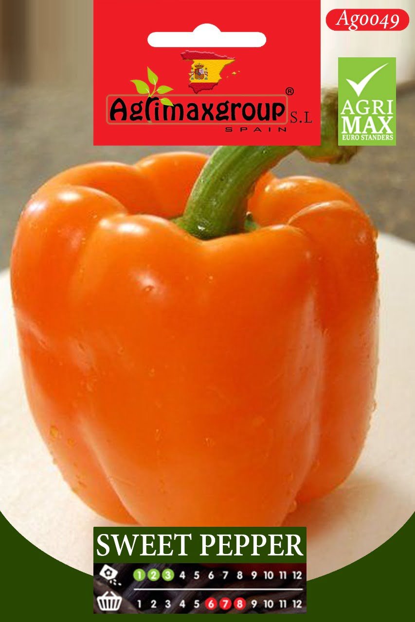 Sweet Pepper - Acacia Garden Center