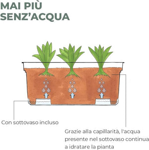 Teraplast Aqua, Mix Colors - Acacia Garden Center