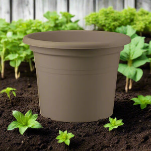 Teraplast Basic Round, Mix Colors - Acacia Garden Center