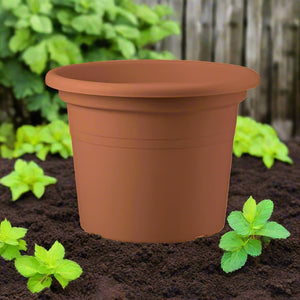 Teraplast Basic Round, Mix Colors - Acacia Garden Center