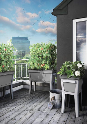 Teraplast Basilio, 61, Aluminium - Acacia Garden Center