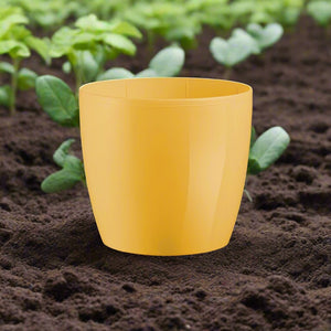 Teraplast Madeira 22CM - Acacia Garden Center