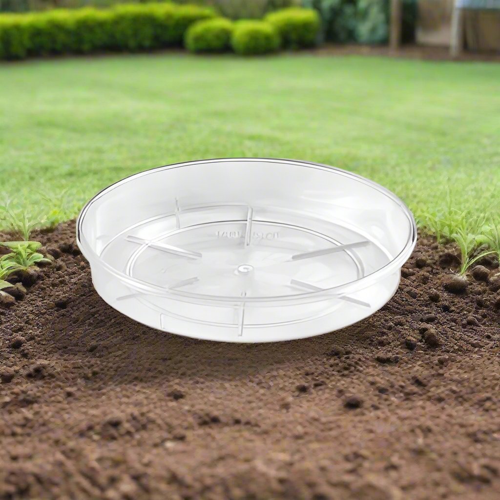 Teraplast Plato, Transparent - Acacia Garden Center
