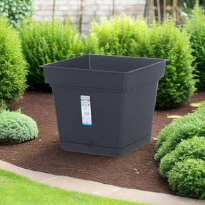 Teraplast Still, 38CM, Mix Colors - Acacia Garden Center