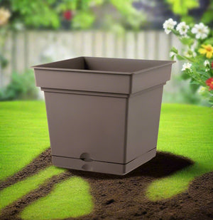 Teraplast Still, 38CM, Mix Colors - Acacia Garden Center