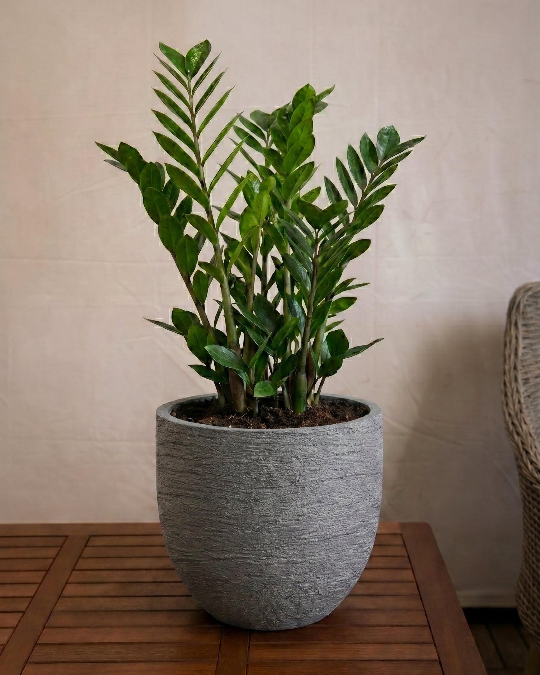Terreno New Egg Pot | Textured Planter, Dia. 36–94 cm - Acacia Garden Center