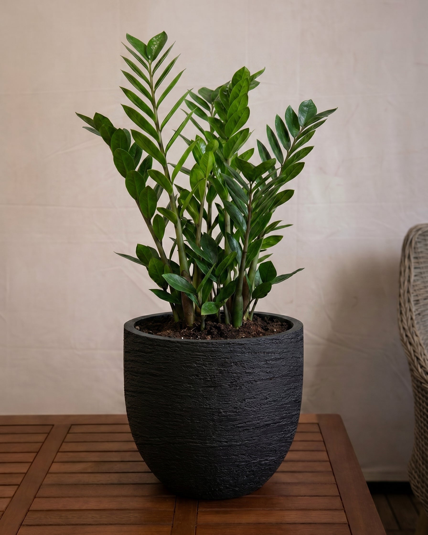 Terreno New Egg Pot | Textured Planter, Dia. 36–94 cm - Acacia Garden Center