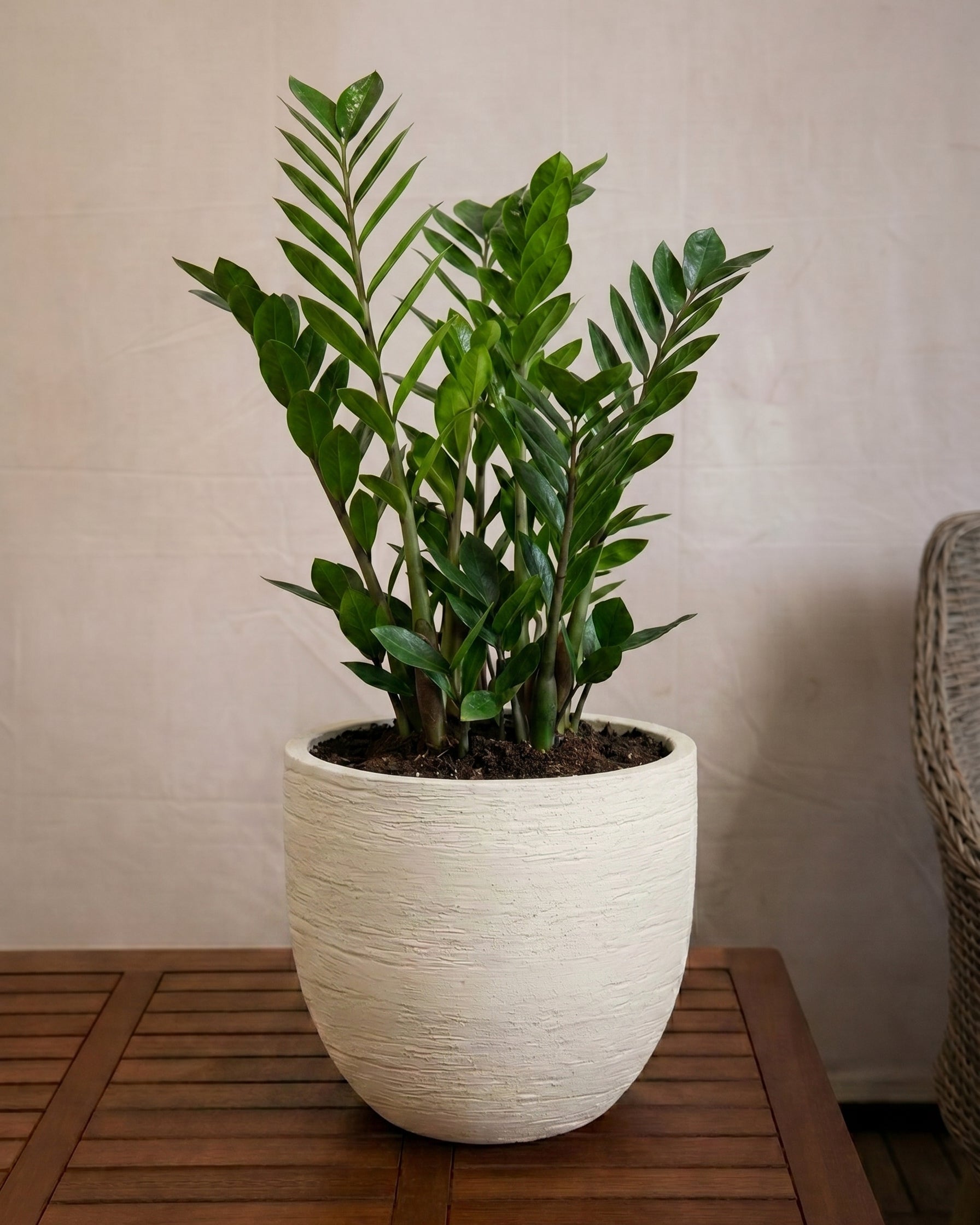 Terreno New Egg Pot | Textured Planter, Dia. 36–94 cm - Acacia Garden Center