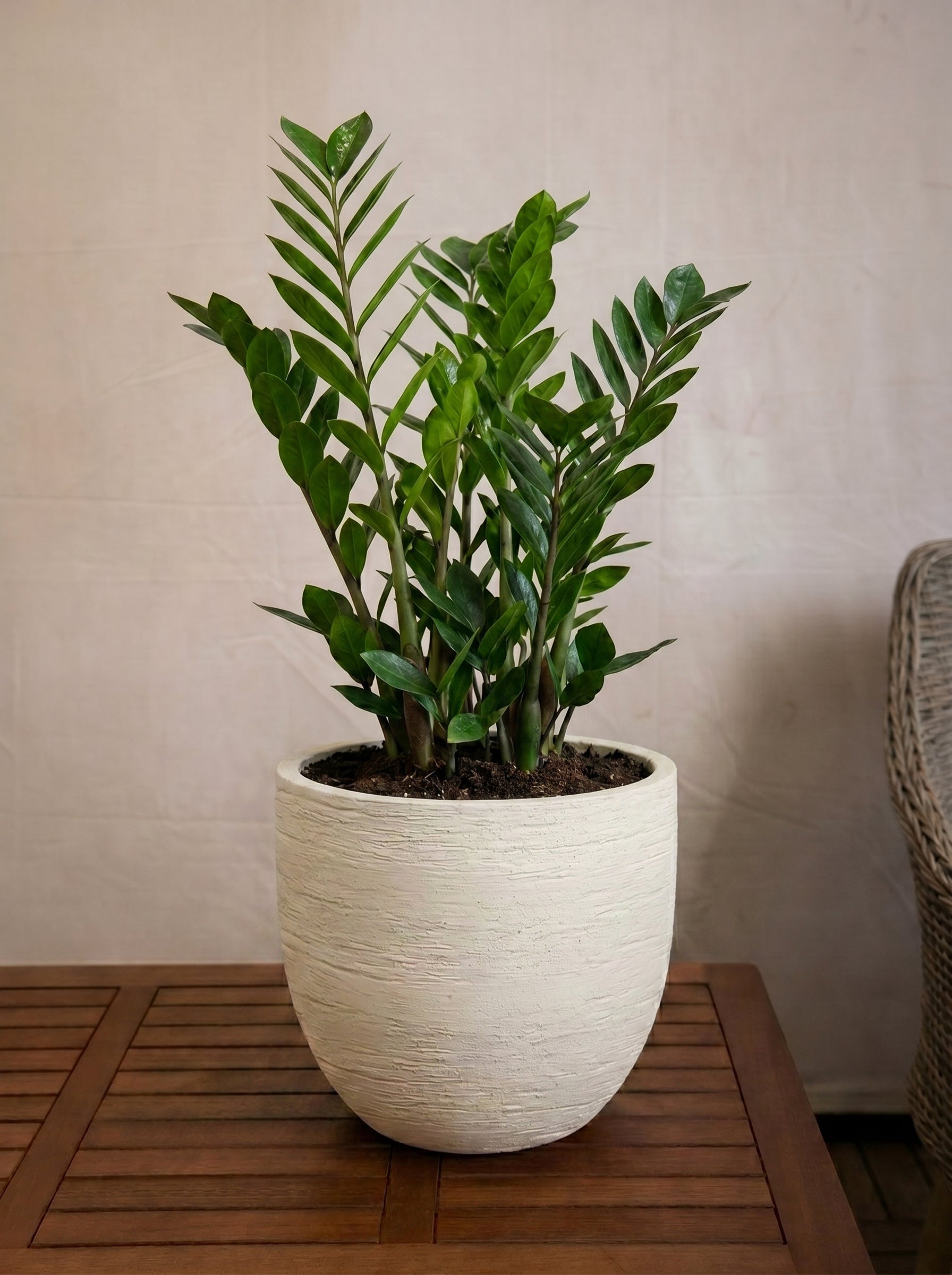 Terreno New Egg Pot | Textured Planter, Dia. 36–94 cm - Acacia Garden Center