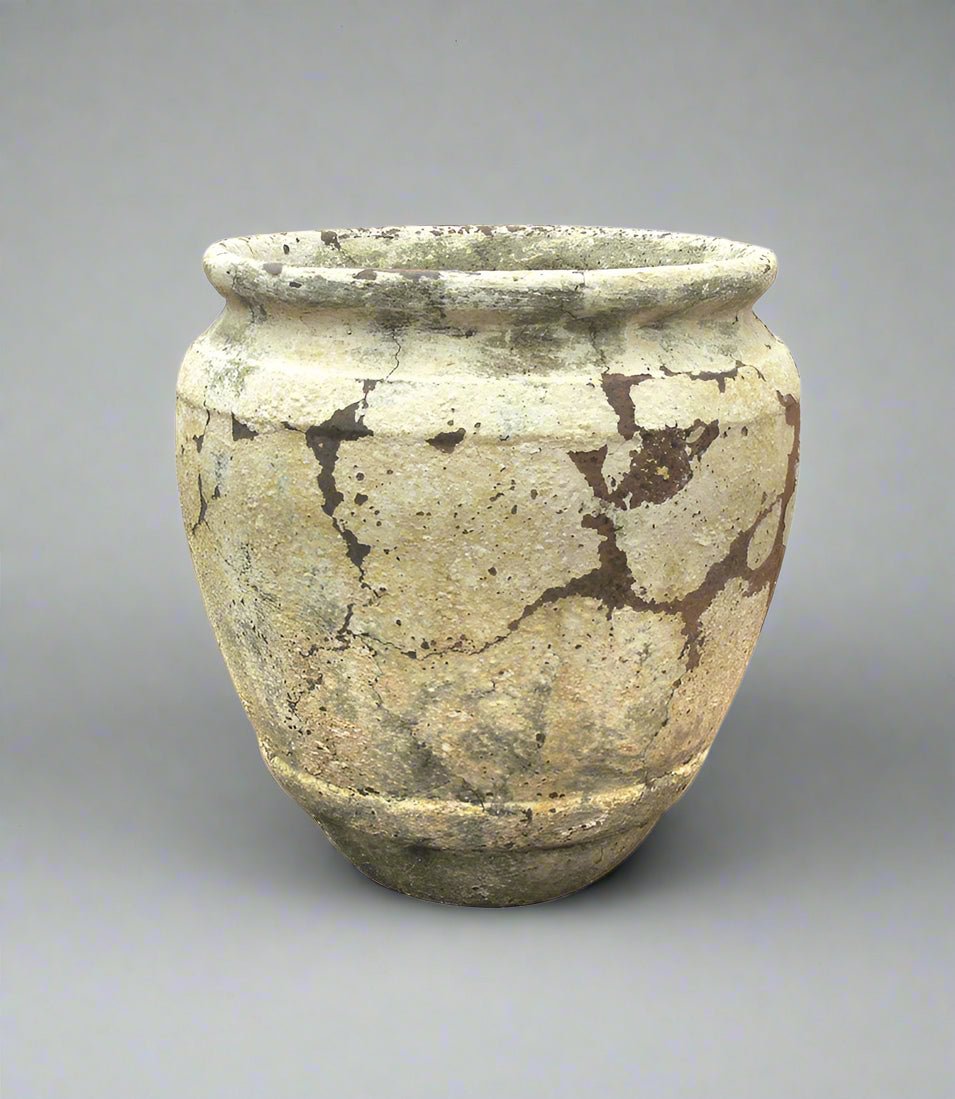 Triton High Quality Atlantis - Ceramic Pot - Acacia Garden Center
