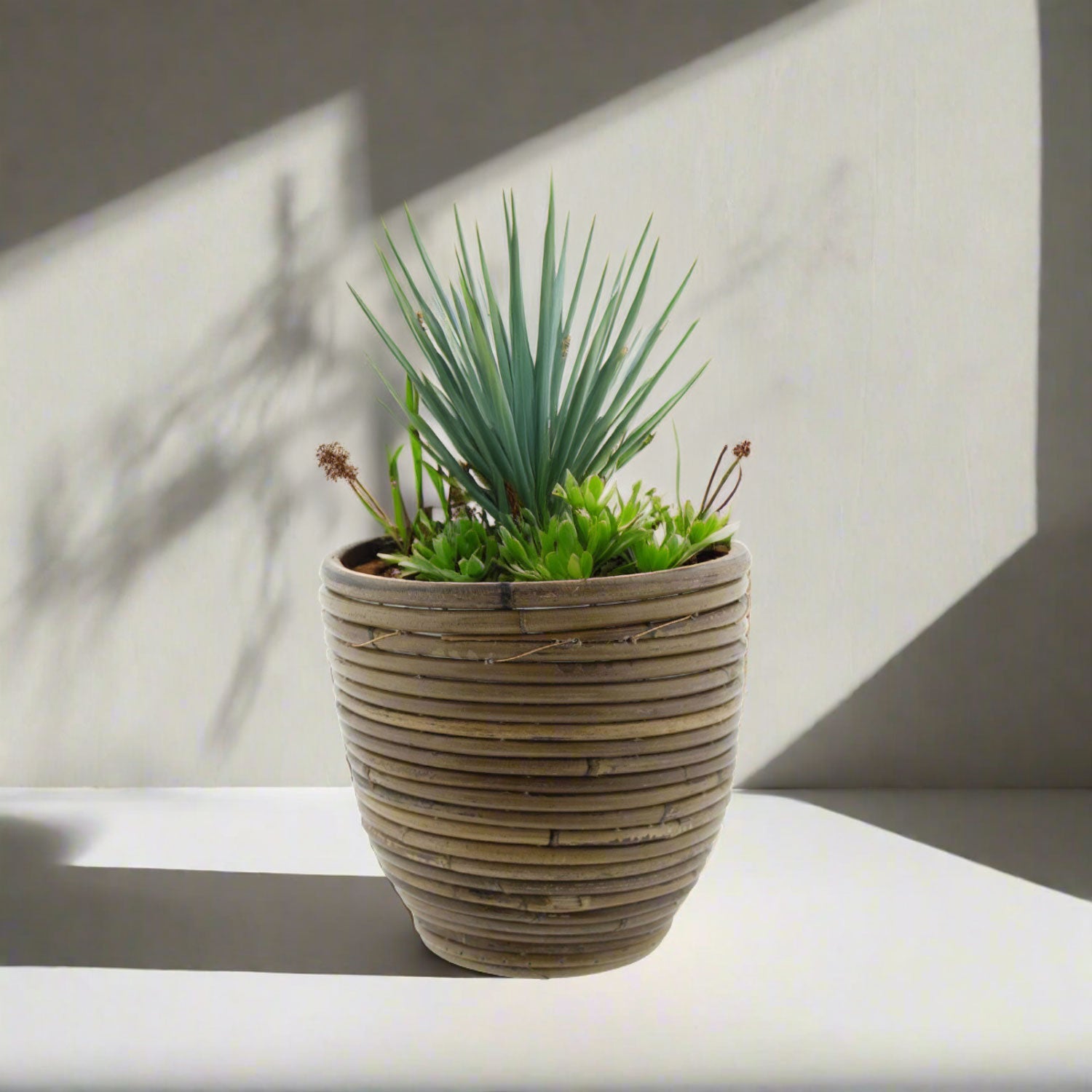 Van der Leeden Pot Round Balloon Stripe 300858 D20X19cm - Acacia Garden Center