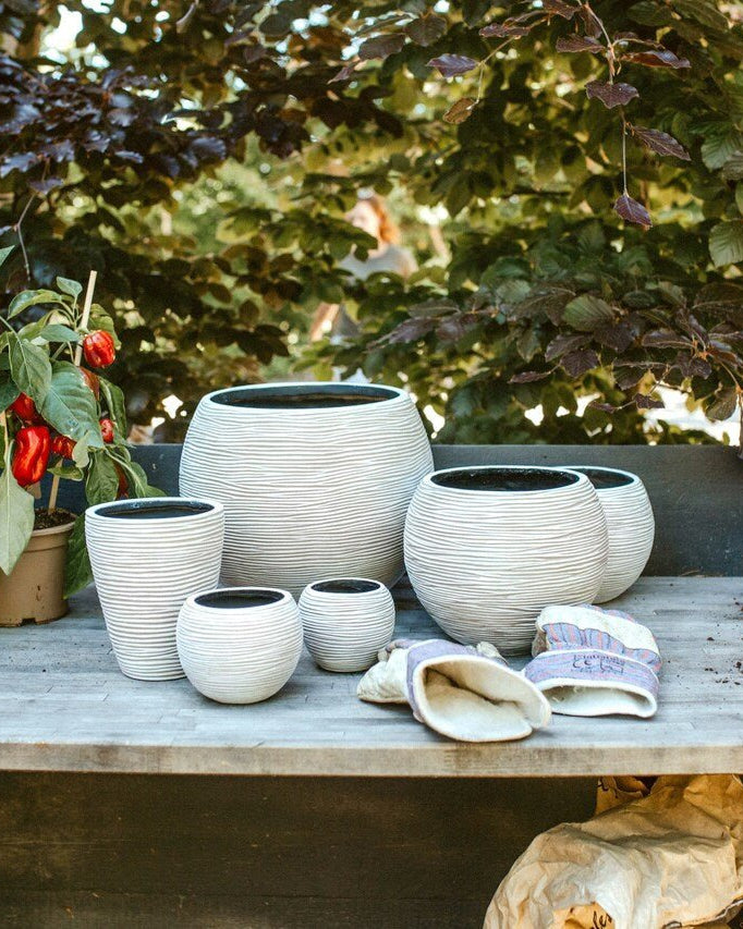 Vase Ball Rib - Acacia Garden Center