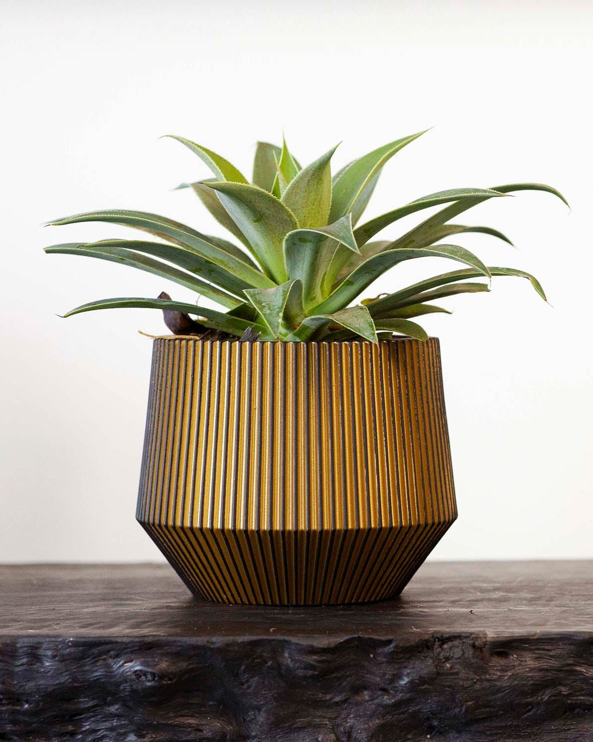Vase Cylinder GEO Groove - Acacia Garden Center
