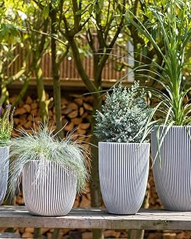 Vase Elegant Low Groove - Acacia Garden Center