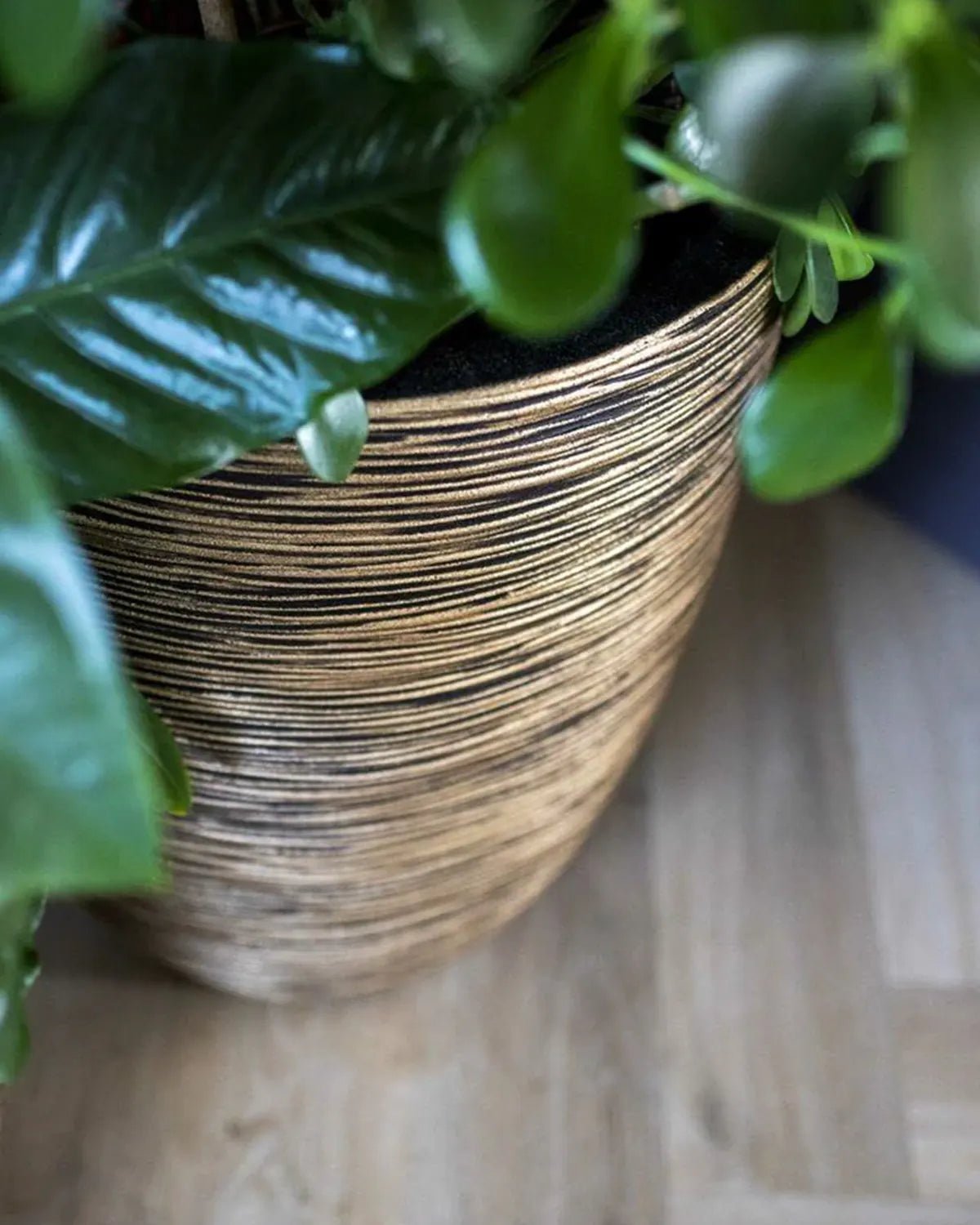 Vase Elegant Low Rib - Black Gold - Acacia Garden Center