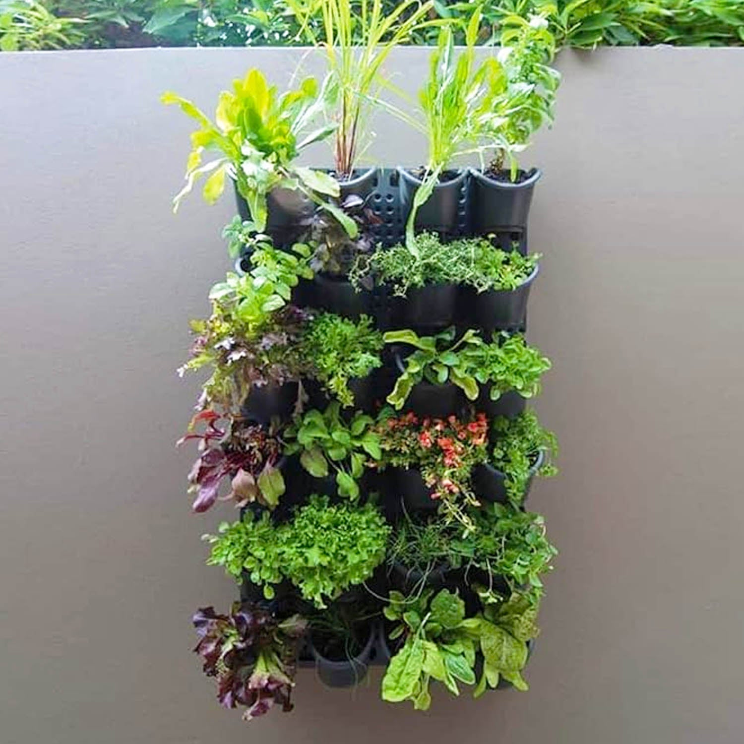 Vertical Planting Kit - Acacia Garden Center