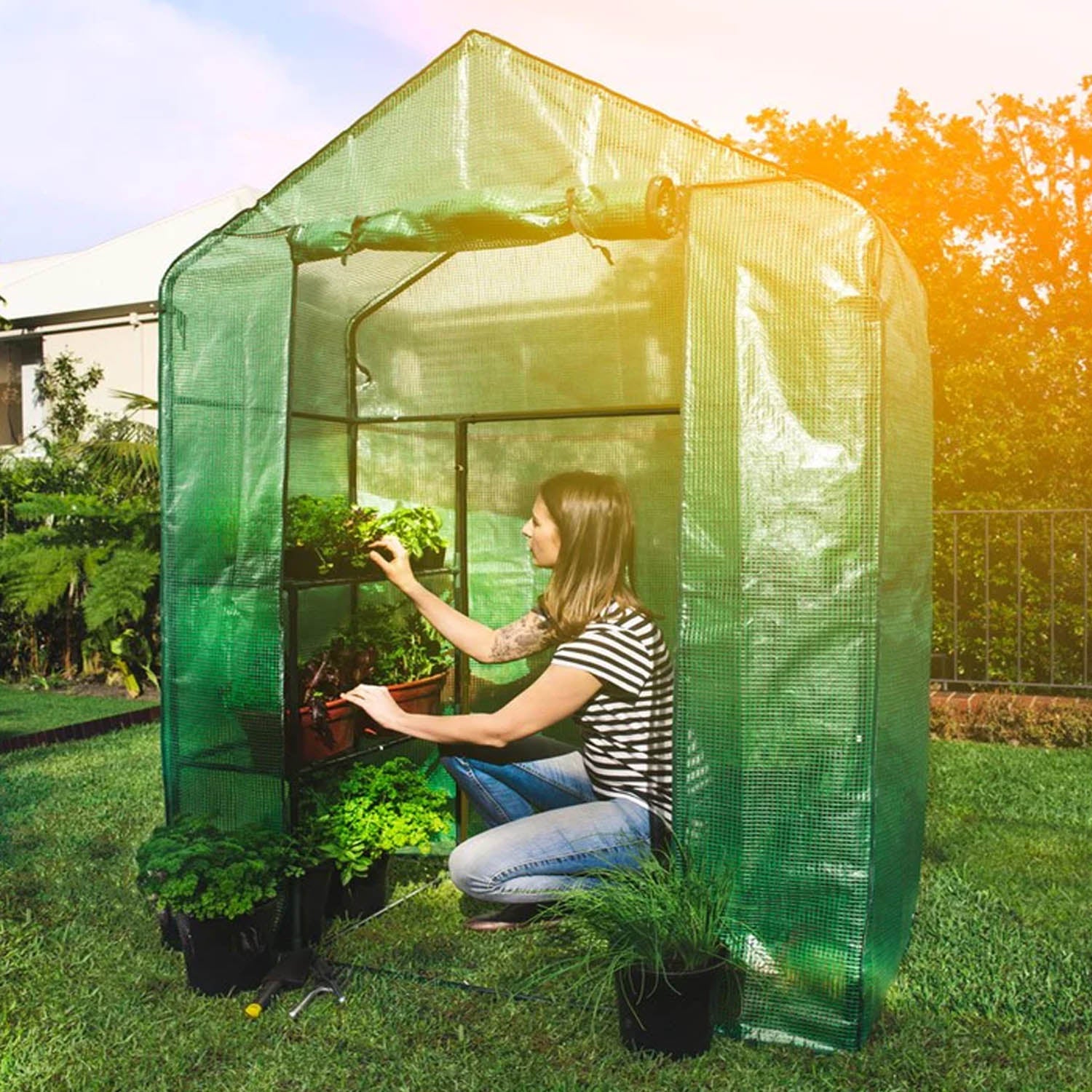 Walk In Greenhouse Kit - 1X1M - Acacia Garden Center