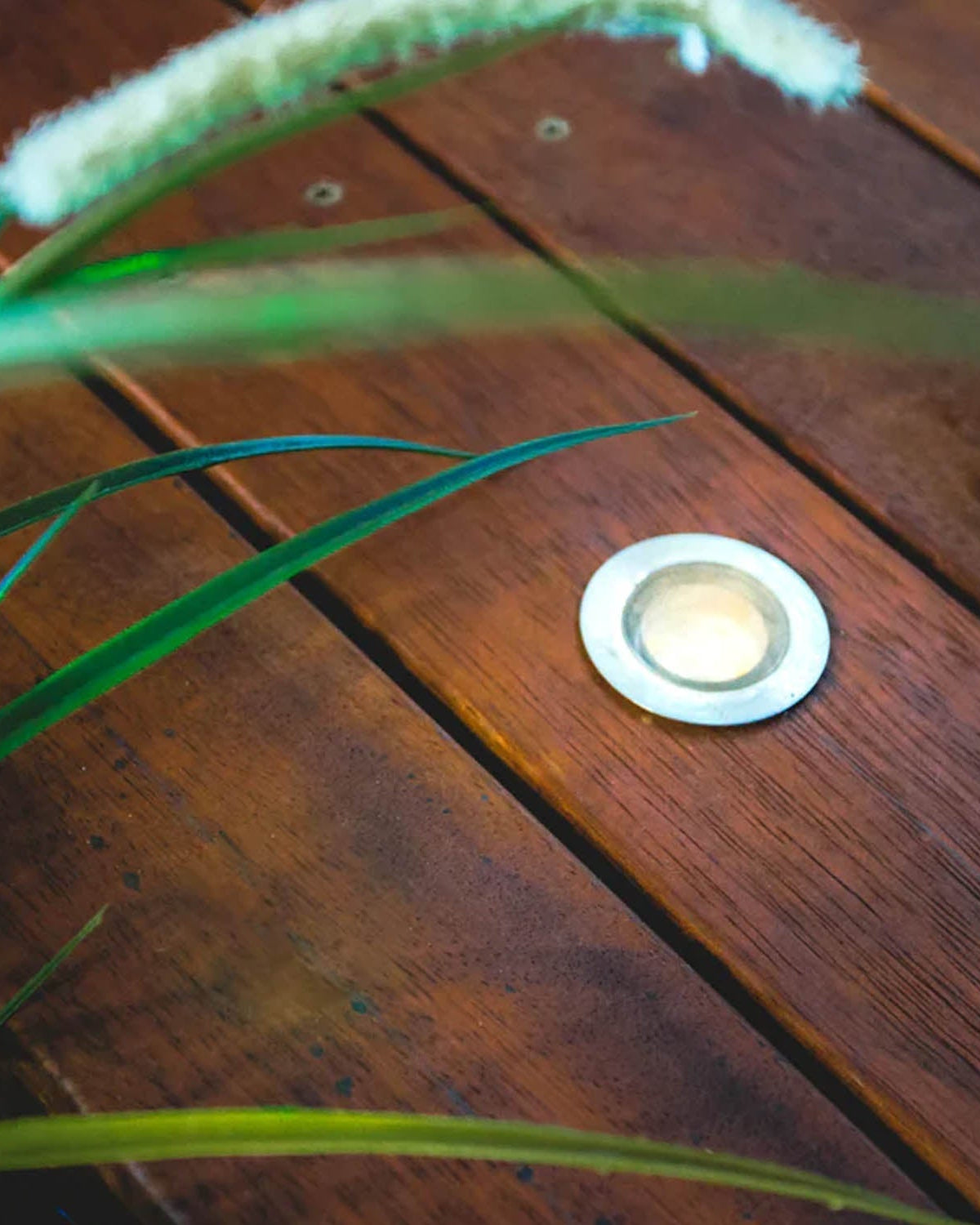 Warm White Deck Lights - Acacia Garden Center
