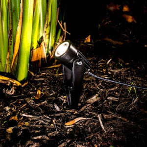 Warm White Spotlight - Acacia Garden Center