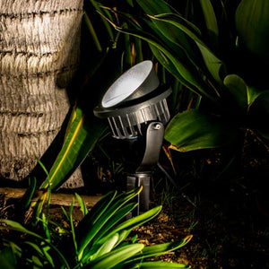 Warm White Spotlight - Acacia Garden Center