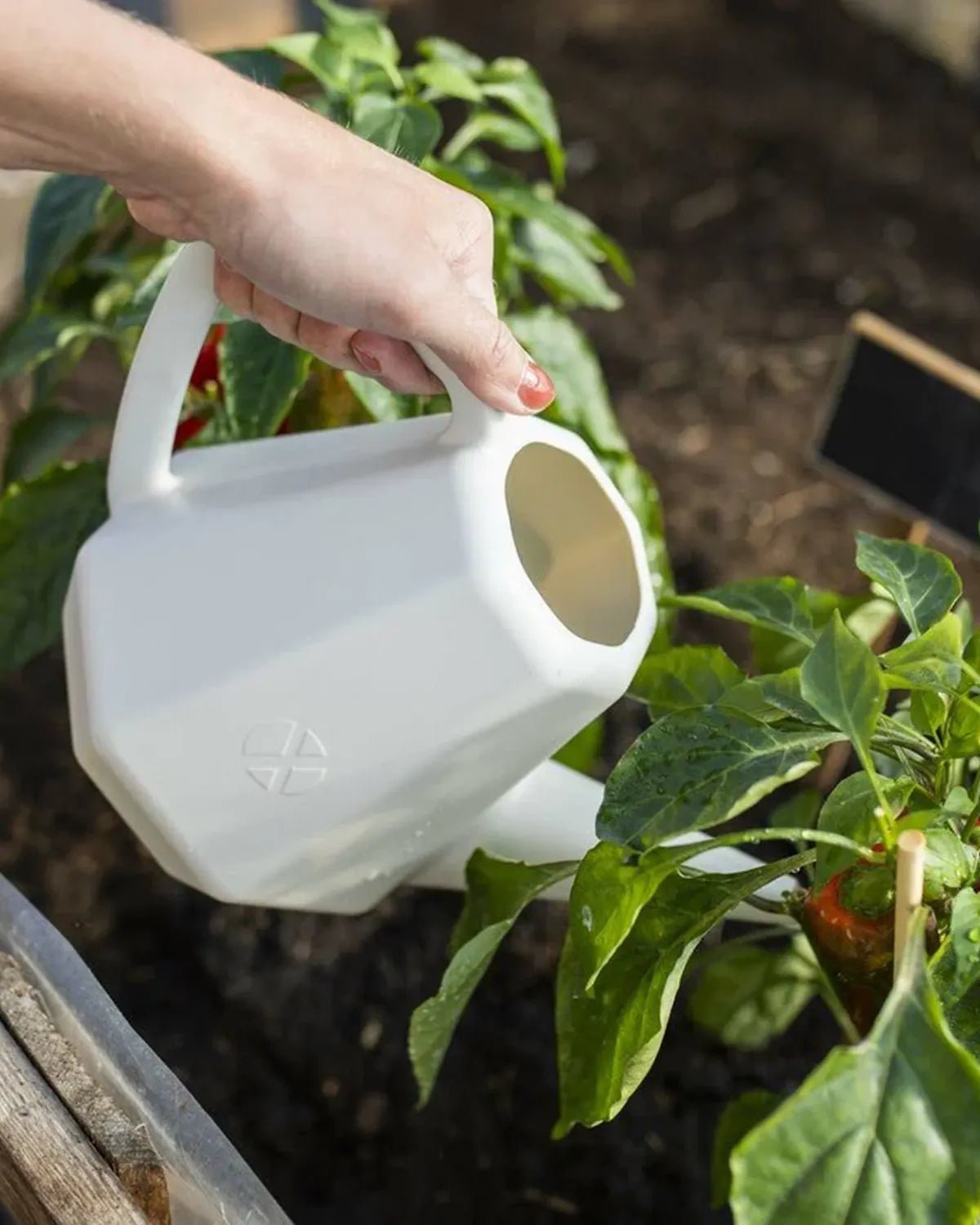 Watering CAN Doppio 2L - Acacia Garden Center