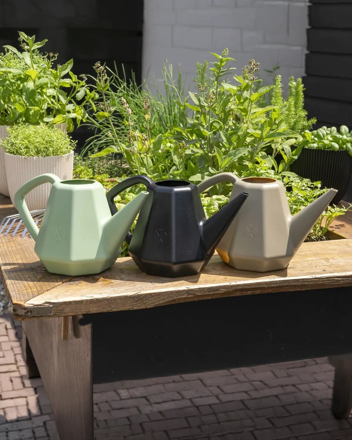 Watering CAN Doppio 2L - Acacia Garden Center