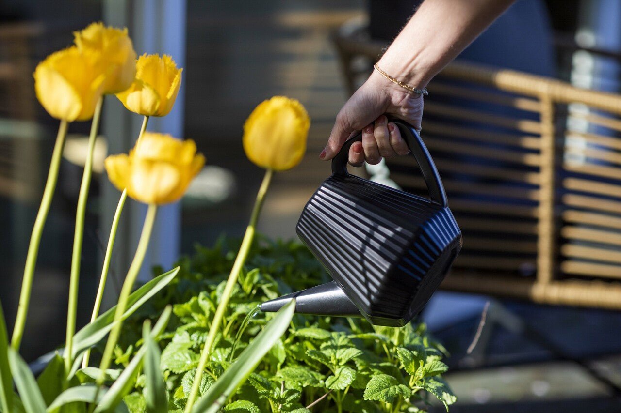 Watering CAN Doppio Groove - Acacia Garden Center