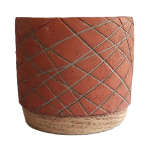 Zowie - Cf1788 - Acacia Garden Center