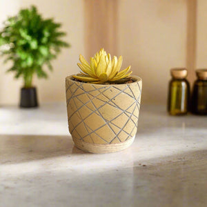 Zowie - Cf1788 - Acacia Garden Center