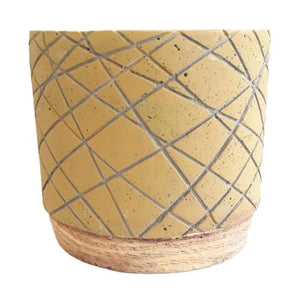 Zowie - Cf1788 - Acacia Garden Center