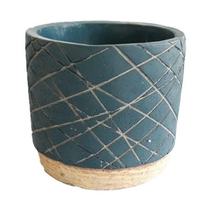 Zowie - Cf1788 - Acacia Garden Center