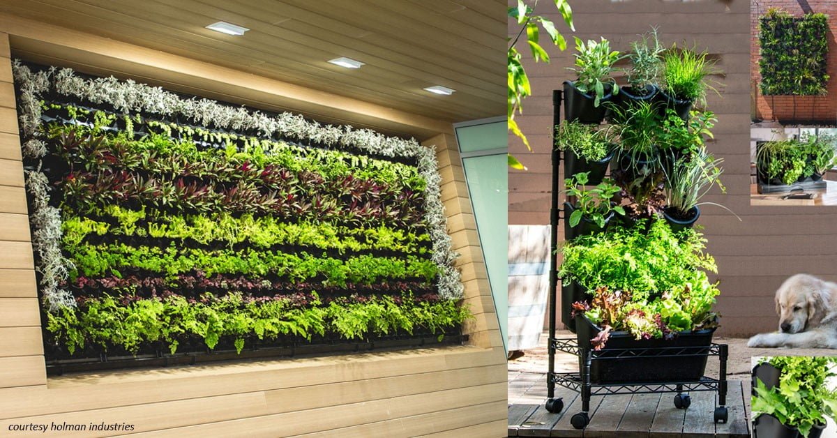 DIY VERTICAL HERB WALLS - Acacia Garden Center